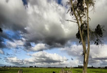 米兰体育app-密尔沃基的最后一舞，雄鹿抢七战绝境重生记