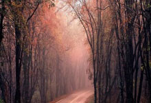 米兰体育网页版-【铁血芭蕾】克洛伊·杜邦：巴黎风暴眼中心的武者之魂