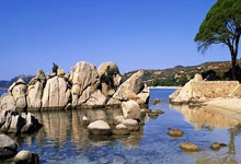 米兰APP下载-铜光破晓！津巴布韦篮球的逆袭史诗——一枚改写历史的奥运铜牌