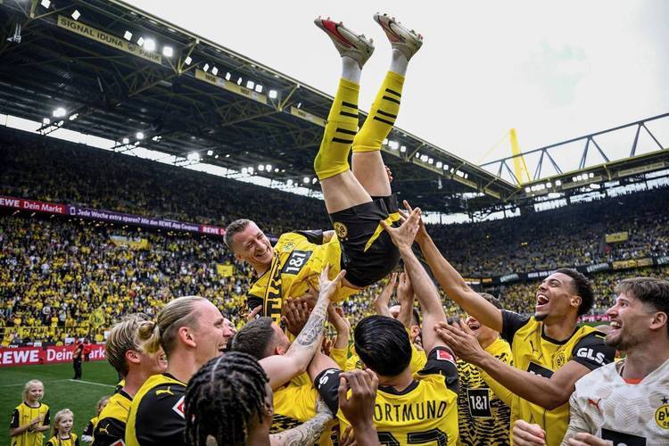 阿拉维斯力挫对手，取得宝贵三分