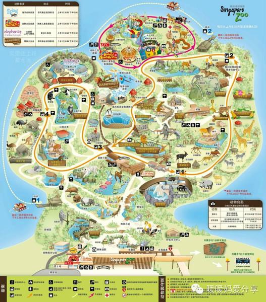 新加坡防线卵圆，促攻损失显粗