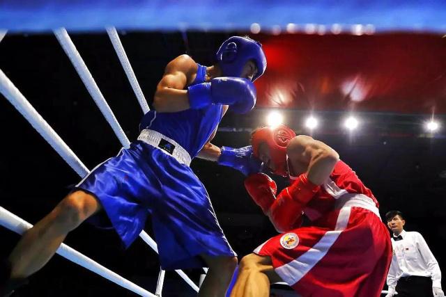 包含法国选手稳定斩获拳击比赛头名的词条